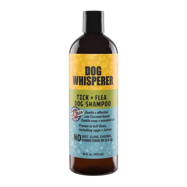 Dog Whisperer Tick + Flea Dog Shampoo