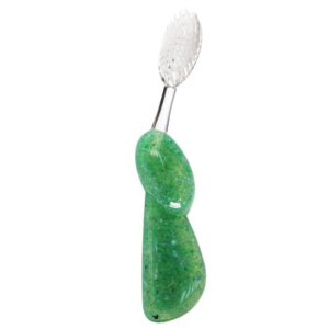 Big Brush with Replacement Head Toothbrush, Right Hand