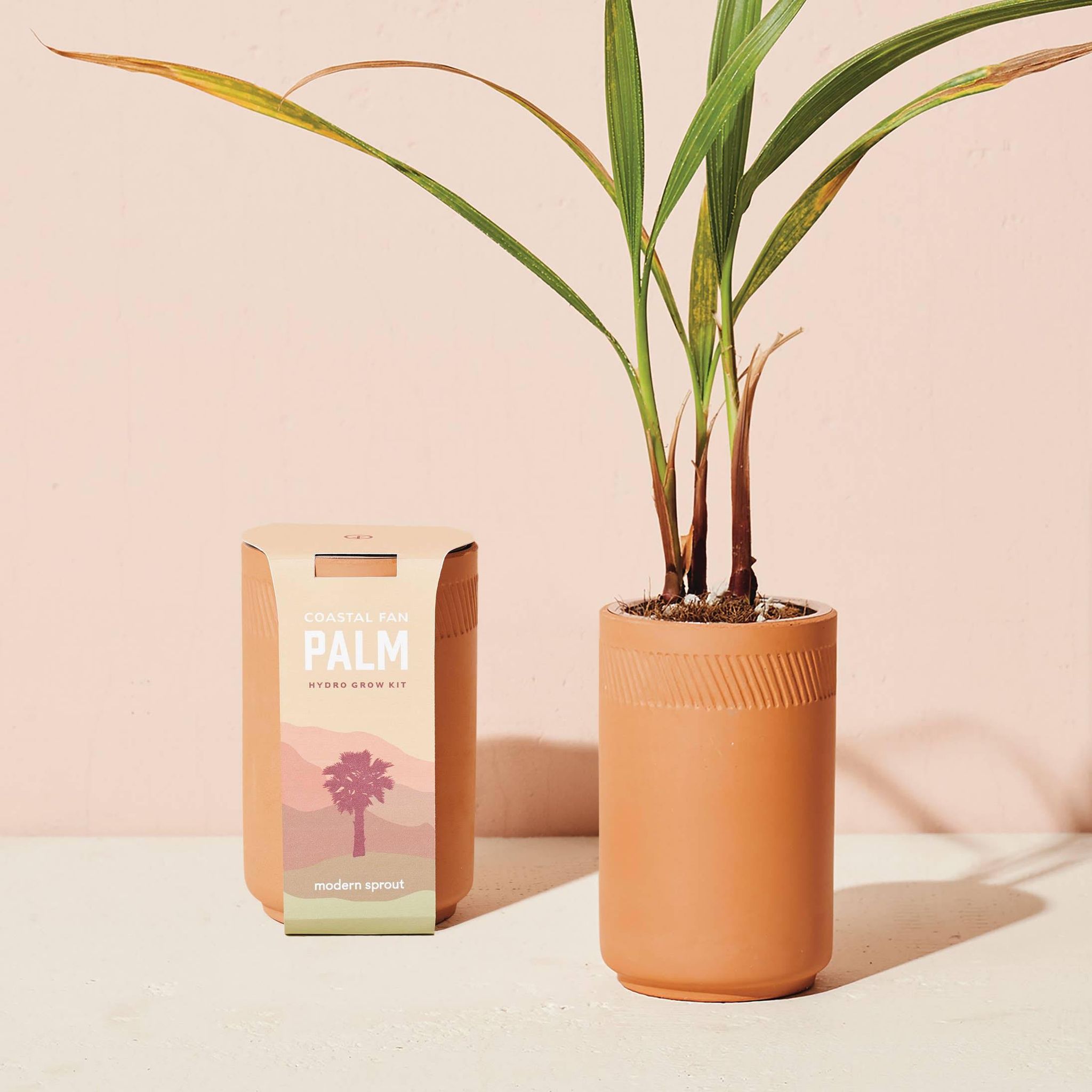 Terracotta Kit - Palm