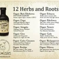 Elderberry & Honey Tonic, 16 oz - Image 2