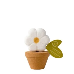 Pacha flower bath bomb (2 in pack)