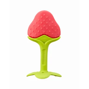 Ez Grip Baby Fruit Teether/ Oral & Motor Development Toy
