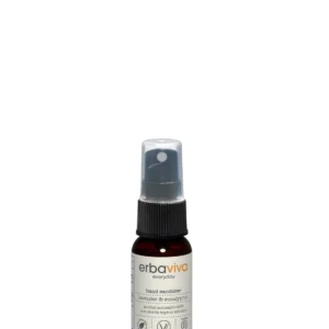 Lavender Eucalyptus Hand Sanitizer - Mini