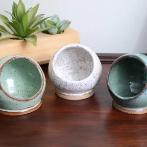 Artisan Ceramic Salt Pig