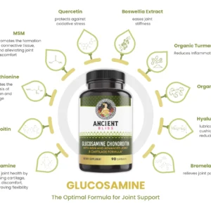 Glucosamine Chondroitin