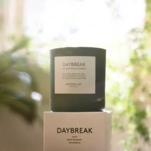 Daybreak Coconut Wax Candle